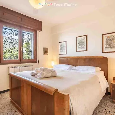 Terrazza Paradiso, Terremarine *