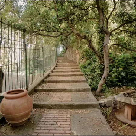 Terrazza Paradiso, Terremarine
